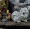 DSC_2609.jpg (79187 byte)